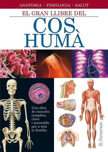 EL GRAN LLIBRE DEL COS HUMA | 9788434228672 | CASSAN, ADOLFO