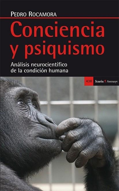 CONCIENCIA Y PSIQUISMO | 9788498886900 | ROCAMORA, PEDRO