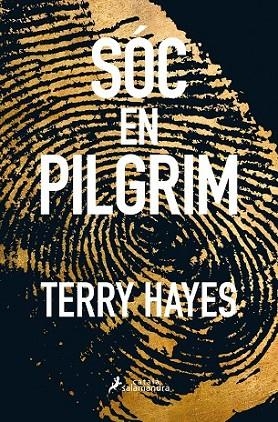 SOC  EN PILGRIM | 9788416310159 | HAYES, TERRY