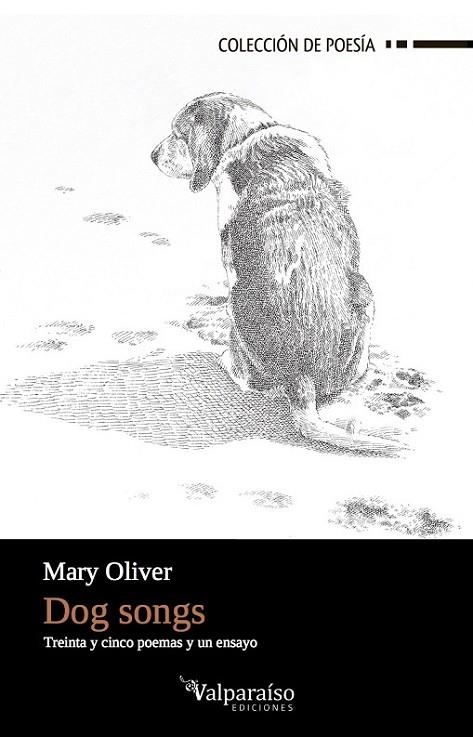 DOG SONGS | 9788494415883 | OLIVER, MARY