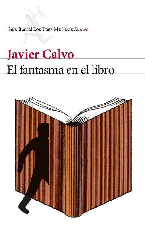 EL FANTASMA EN EL LIBRO | 9788432225796 | CALVO, JAVIER