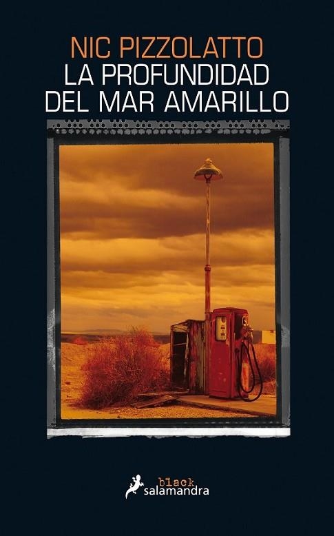 LA PROFUNDIDAD DEL MAR AMARILLO | 9788416237098 | PIZZOLATTO, NIC