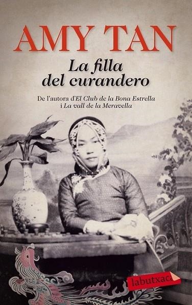 LA FILLA DEL CURANDERO | 9788499308371 | TAN