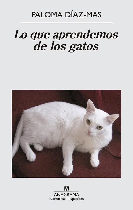 LO QUE APRENDEMOS DE LOS GATOS | 9788433997807 | DIAZ-MAS, PALOMA