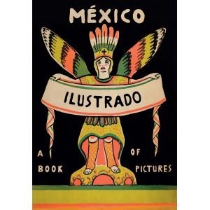 MÉXICO ILUSTRADO | 9788415118947 | A.A. V.V.