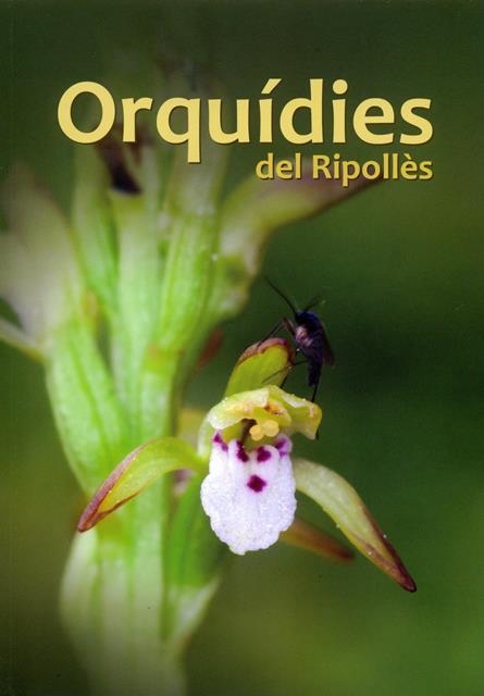 ORQUÍDIES DEL RIPOLLÈS | 9788499652955 | CANALS TARON, JOAN