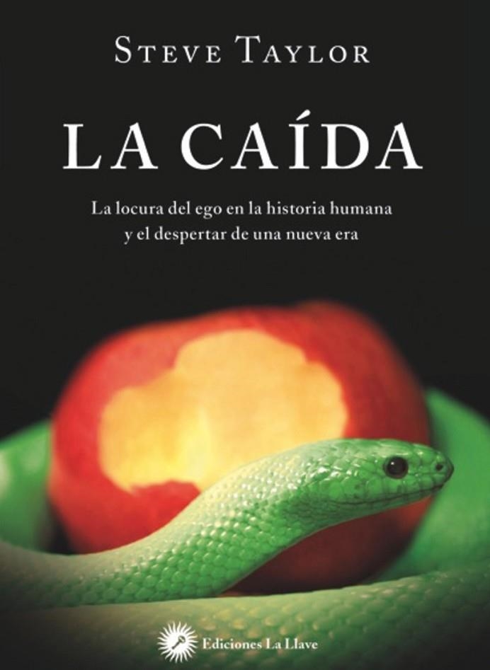 LA CAÍDA | 9788416145300 | TAYLOR, STEVE