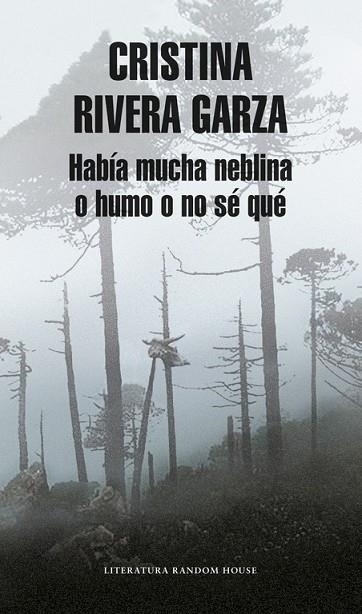 HABÍA MUCHA NEBLINA O HUMO O NO SÉ QUÉ | 9788439732761 | RIVERA GARZA, CRISTINA