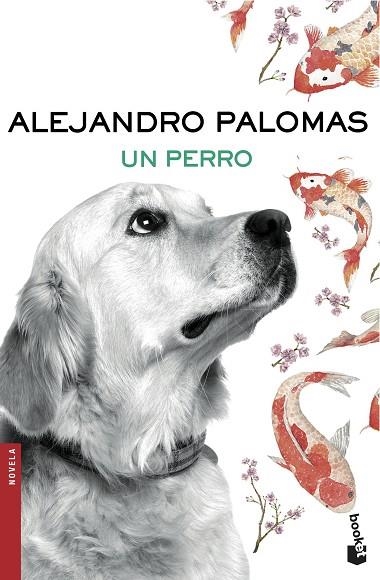 UN PERRO | 9788423351862 | PALOMAS, ALEJANDRO 