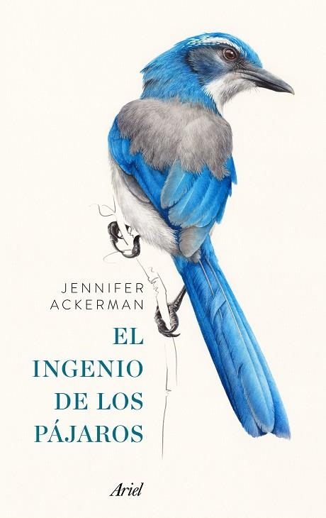 INGENIO DE LOS PÁJAROS, EL | 9788434425262 | ACKERMAN, JENNIFER 