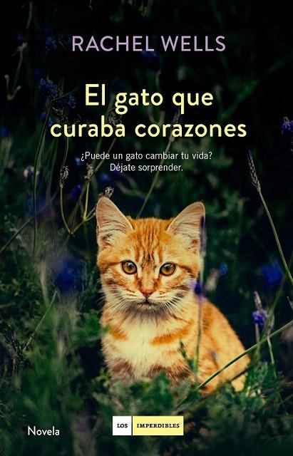 GATO QUE CURABA CORAZONES, EL  | 9788416634477 | WELLS, RACHEL