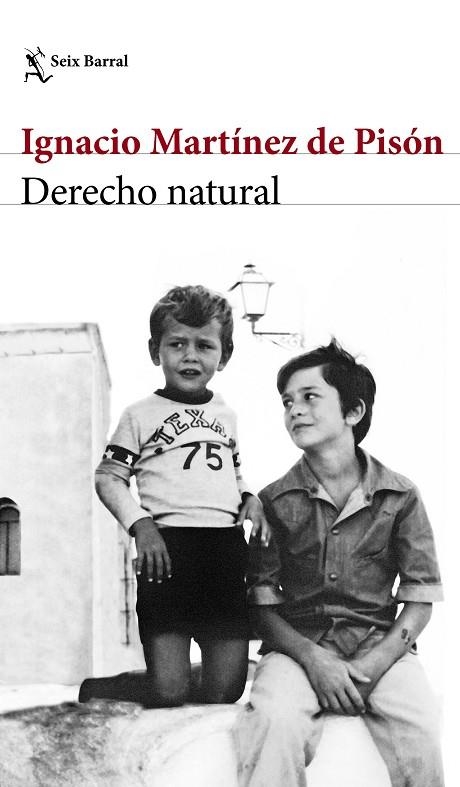 DERECHO NATURAL | 9788432232220 | MARTÍNEZ DE PISÓN, IGNACIO 