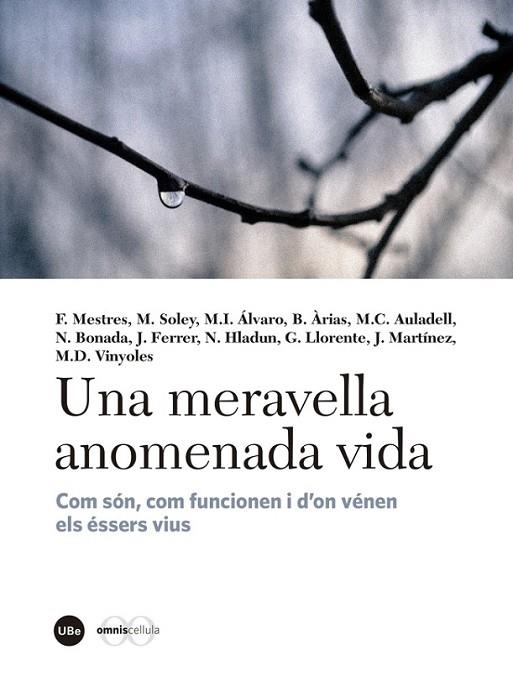 UNA MERAVELLA ANOMENADA VIDA | 9788447540310 | VARIOS AUTORES