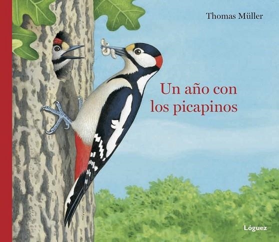 UN AÑO CON LOS PICAPINOS | 9788494565373 | MÜLLER, THOMAS