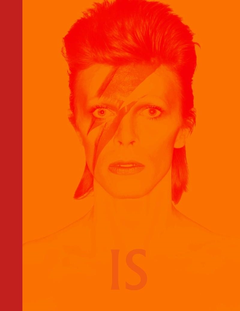 DAVID BOWIE IS INSIDE (CAST) | 9788416665624 | BROACKES, VICTORIA/MARSH, GEOFFREY