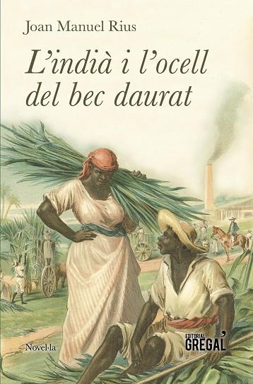 L'INDIÀ I L'OCELL DEL BEC DAURAT | 9788417082123 | RIUS PANTALEONI, JOAN MANUEL