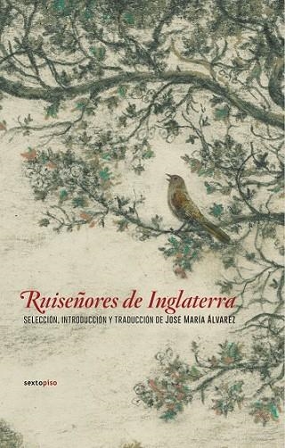 RUISEÑORES DE INGLATERRA | 9788416677498 | VARIOS AUTORES