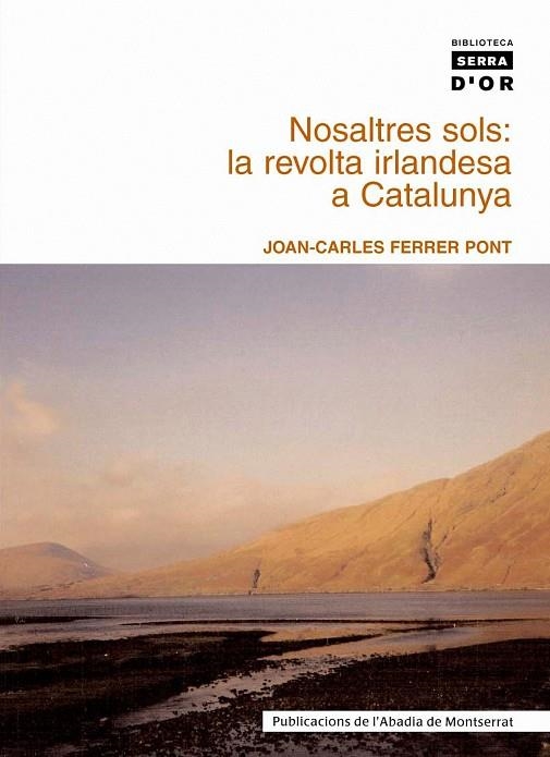 NOSALTRES SOLS | 9788484159131 | FERRER PONT, JOAN CARLES