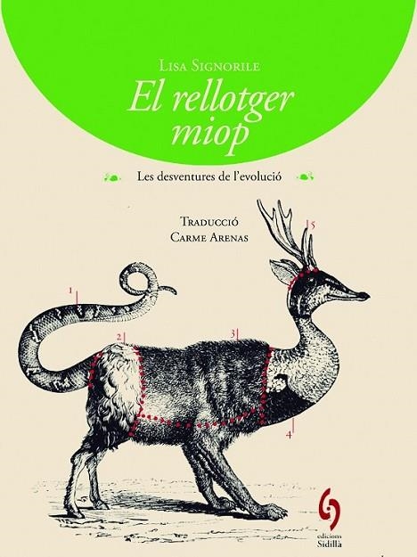 EL RELLOTGER MIOP | 9788494256424 | SIGNORILE