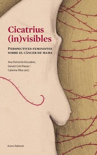 CICATRIUS (IN)VISIBLES | 9788497665643 | PORROCHE ESCUDERO, ANA/COLL PLANAS, GERARD/RIBA SANMARTí, CATERINA