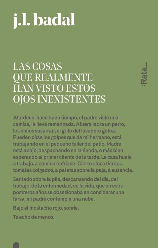 LAS COSAS QUE REALMENTE HAN VISTO ESTOS OJOS INEXISTENTES | 9788416738151 | BADAL, JOSEP LLUíS