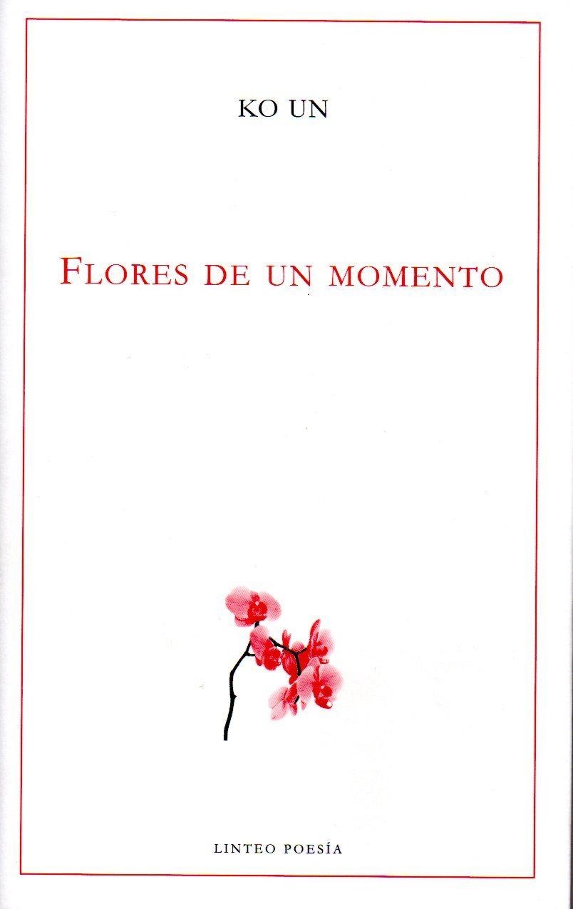 FLORES DE UN MOMENTO | 9788494466076 | UN, KO