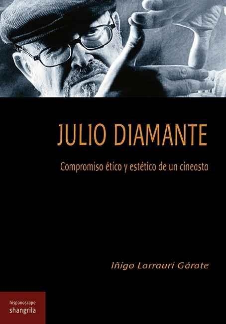 JULIO DIAMANTE | 9788494875007 | LARRAURI GÁRATE, IÑIGO