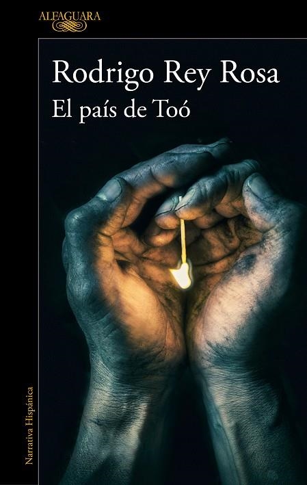 EL PAÍS DE TOÓ | 9788420434681 | REY ROSA, RODRIGO