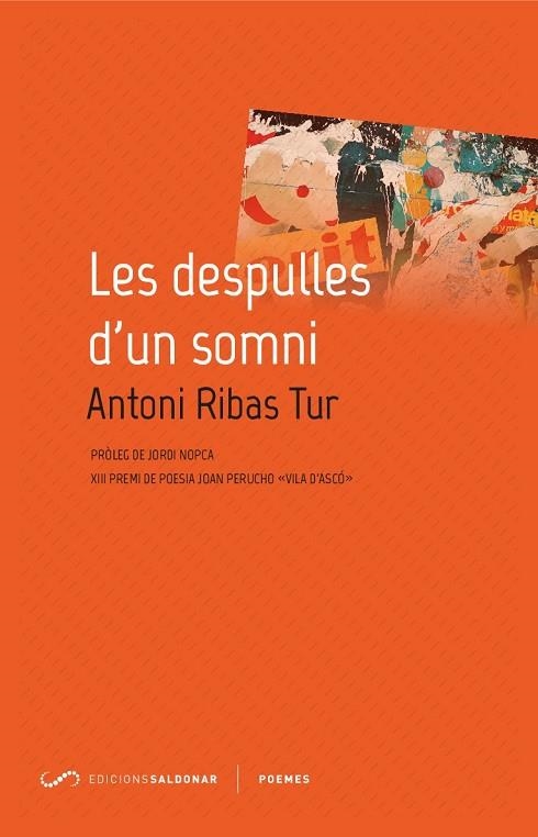 LES DESPULLES D'UN SOMNI | 9788417611040 | RIBAS TUR, ANTONI