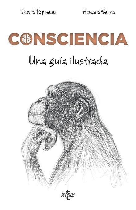 CONSCIENCIA | 9788430976072 | PAPINEAU, DAVID