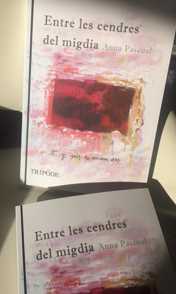 ENTRE LES CENDRES DEL MIGDIA | 9788494881664 | PASCUAL VALLS, ANNA