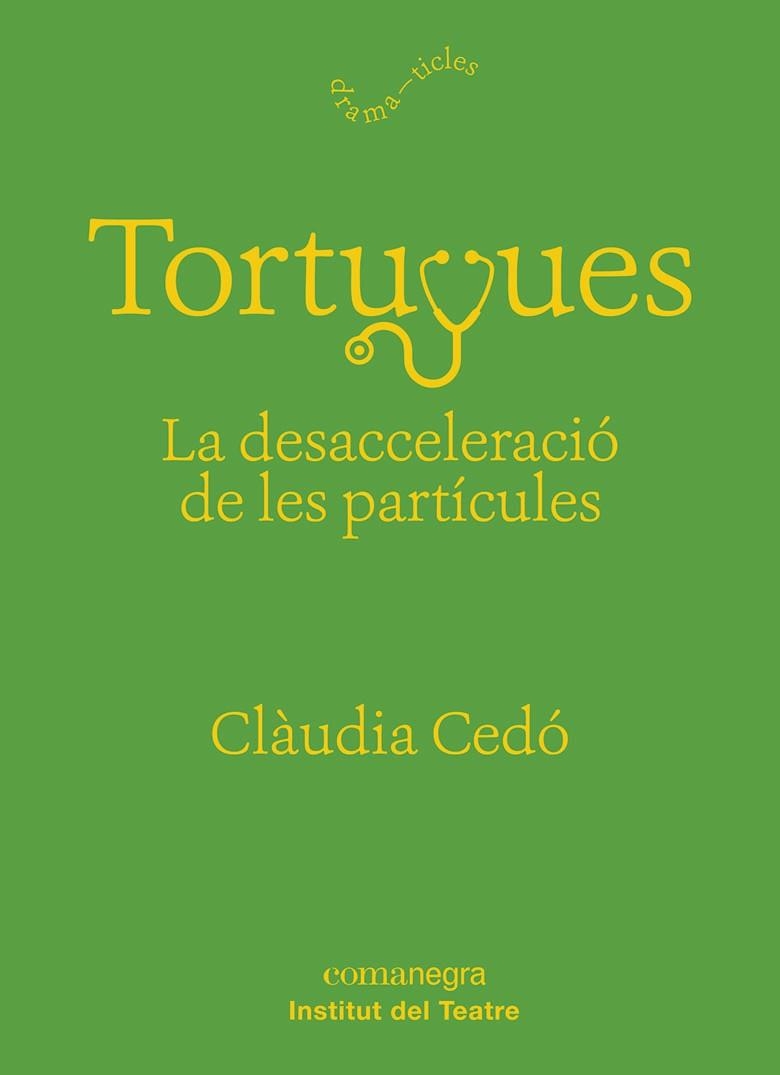 TORTUGUES: LA DESACCELERACIÓ DE LES PARTÍCULES | 9788417188863 | CEDÓ CASTILLO, CLÀUDIA