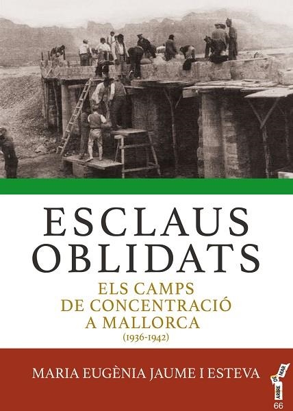 ESCLAUS OBLIDATS | 9788417113643 | JAUME I ESTEVA, MARIA EUGÈNIA