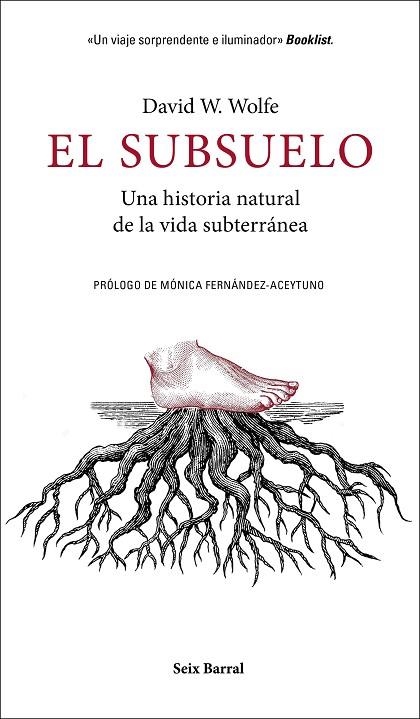 EL SUBSUELO | 9788432235603 | WOLFE, DAVID W.