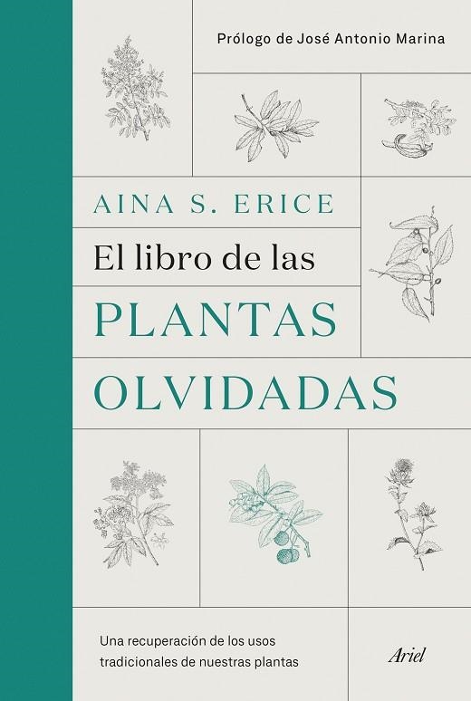 EL LIBRO DE LAS PLANTAS OLVIDADAS | 9788434431461 | S. ERICE, AINA