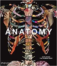 ANATOMY EXPLORING THE HUMAN BODY | 9780714879888 | AA.VV