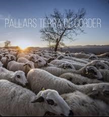 PALLARS TERRA DE CORDER | 9788412080193 | RIUDOR, NOEMÍ/ AJUNTAMENT DE TREMP/ FUNDACIÓ ALÍCIA/ CANISSERÍES I RESTAURADORS DEL PALLARS JUSSÀ