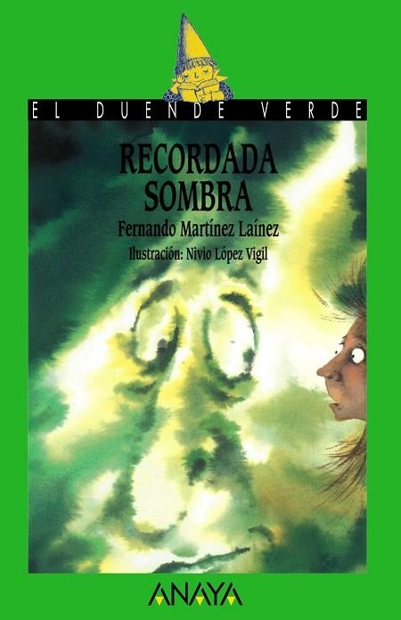 RECORDADA SOMBRA | 9788466715652 | MARTINEZ LAINEZ