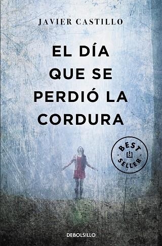 EL DÍA QUE SE PERDIÓ LA CORDURA | 9788466346122 | CASTILLO, JAVIER