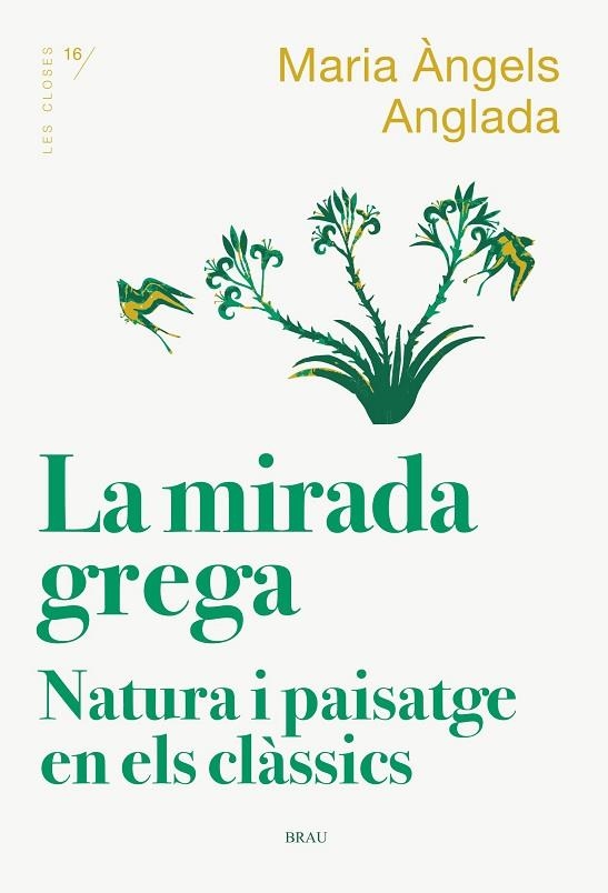 LA MIRADA GREGA | 9788418096167 | ANGLADA I D'ABADAL, MARIA ÀNGELS