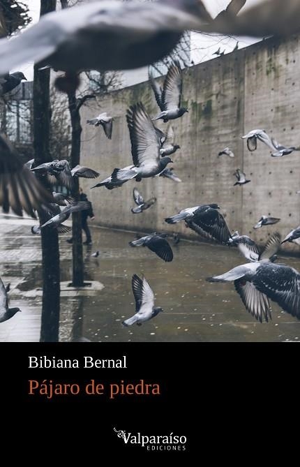 PÁJARO DE PIEDRA | 9788418082702 | BERNAL, BIBIANA