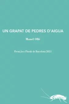 UN GRAPAT DE PEDRES D'AIGUA | 9788412328974 | OLLÉ, MANEL