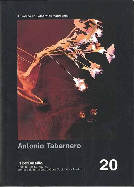 ANTONIO TABERNERO PB-20 | 9788495471017 | SCHNAITH, NELLY