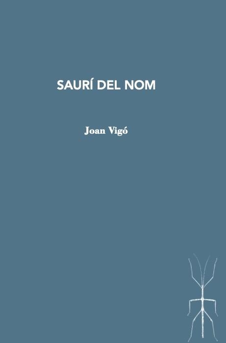 SAURÍ DEL NOM | 9788412457537 | VIGÓ, JOAN