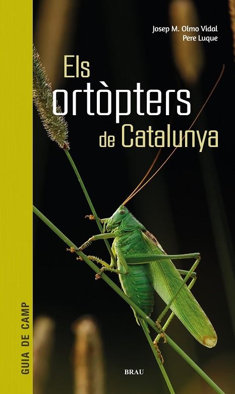 ELS ORTÒPTERS DE CATALUNYA | 9788418096266 | OLMO VIDAL, JOSEP M/LUQUE PINO, PERE