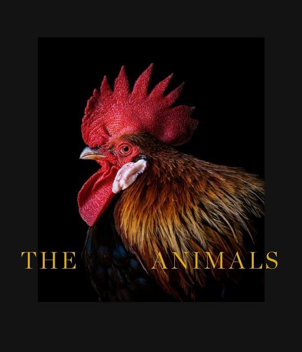 THE ANIMALS | 9788418934063 | DE CASTRO., ESTELA