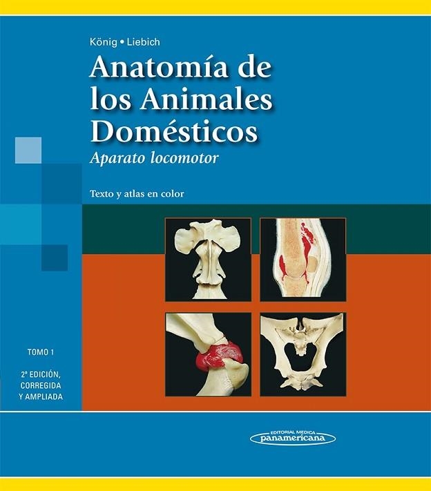 ANATOMÍA DE LOS ANIMALES DOMÉSTICOS T1 | 9788498354706 | KÖNIG, HORST ERICH/LIEBICH, HANS-GEORG