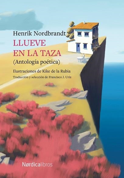 LLUEVE EN LA TAZA | 9788419320230 | NORDBRANDT, HENRIK