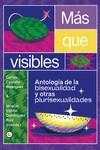 MÁS QUE VISIBLES | 9788418501661 | CASTAÑO RODRÍGUEZ, CARLOS/DOMÍNGUEZ RUIZ, IGNACIO ELPIDIO