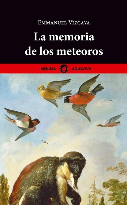 LA MEMORIA DE LOS METEOROS | 9788419202055 | VIZCAYA, EMMANUEL